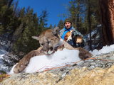 Mt. Lion Hunting Idaho