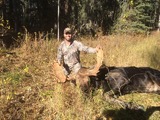 Moose Hunting With Udell