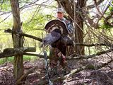 Rio Grande Turkey Hunts Kansas