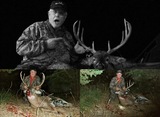 Kansas Deer Hunting