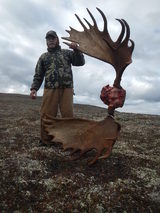 Trophy Moose Hunts