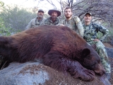 Arizona Bear Hunting