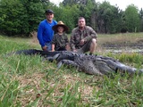 Florida Gator Hunting