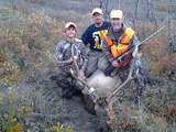 Elk Hunting Colorado