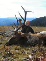 Colorado Elk Hunts