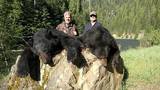 Bear Hunting 