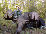 Moose hunt