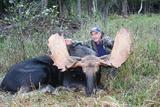 Moose hunts