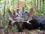 Maine moose hunts