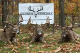 Michigan Whitetail Deer Hunting Outfitters.