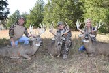 Missouri whitetail hunts Oak Creek Whitetail Ranch