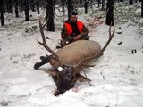 Montana Rifle Elk Hunts