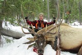 Montana Elk Hunt with Rifle 2013 Stockton Outfitters.