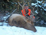 Rifle Elk Hunts