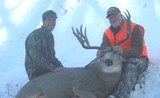 Montana Mule Deer Hunting.