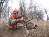 Great Whitetail 2010