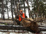 Elk hunt2010