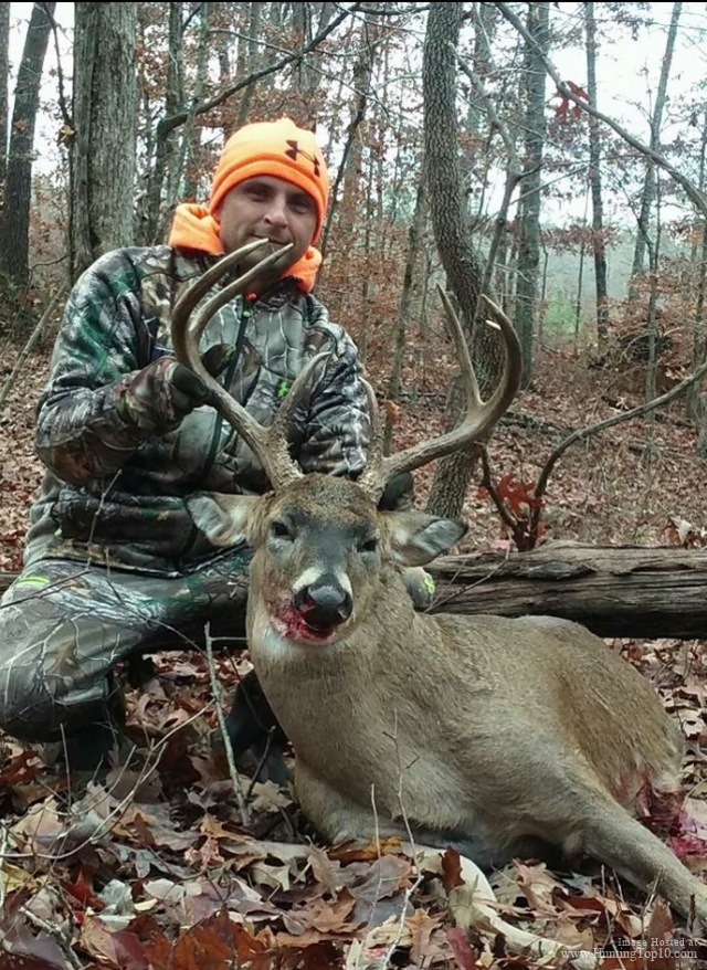 Deer Hunting TN at