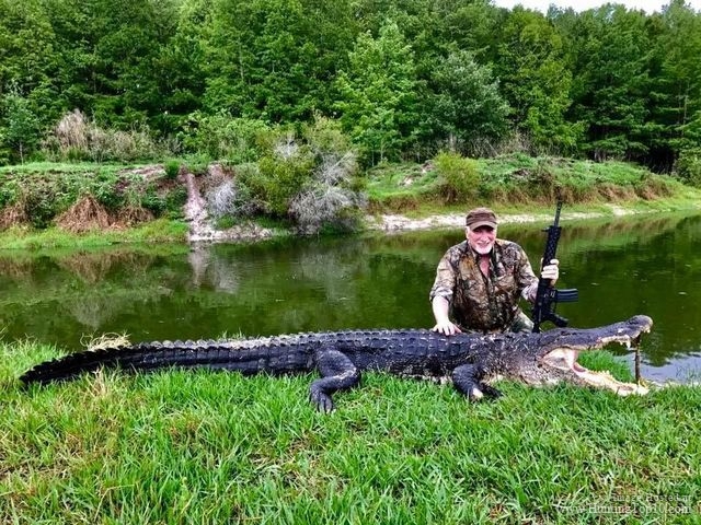 Gator Hunting: the Wilds of Florida