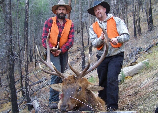 Montana Hunting and Fishing Adventures offers rifle and archery