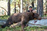 California Bear Hunting