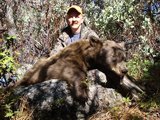 Bow hunting bear 