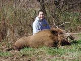 Tennessee Wild Boar Hunting Outfitters.