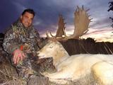 Exotic Deer Hunting Texas.