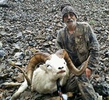 Dall Sheep Hunting