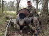 Ohio Bow Hunting Outfitters, Turkey Hunts