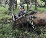 KG Deer Ranch, Bow Hunting Elk