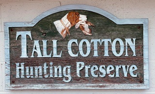 Tall Cotton Quail Hunting Preserve